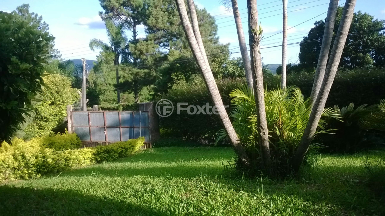 Sítio à venda com 2 quartos, 1800m² - Foto 9