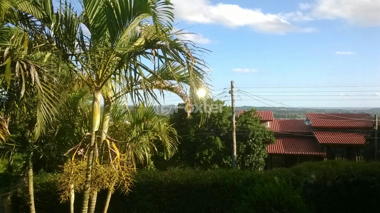 Sítio à venda com 2 quartos, 1800m² - Foto 22