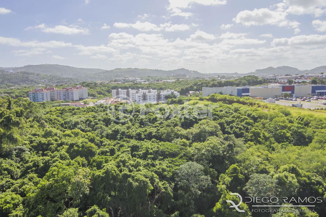 Apartamento à venda com 2 quartos, 66m² - Foto 10
