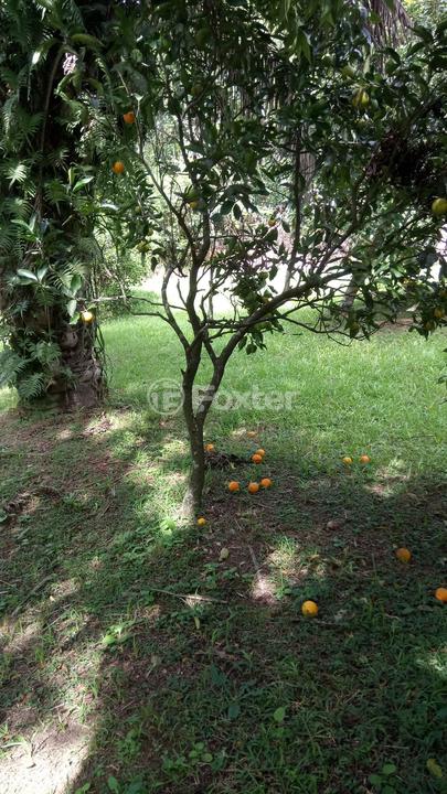 Casa à venda com 3 quartos, 130m² - Foto 12