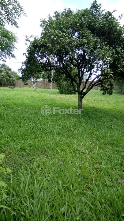 Casa à venda com 3 quartos, 130m² - Foto 13