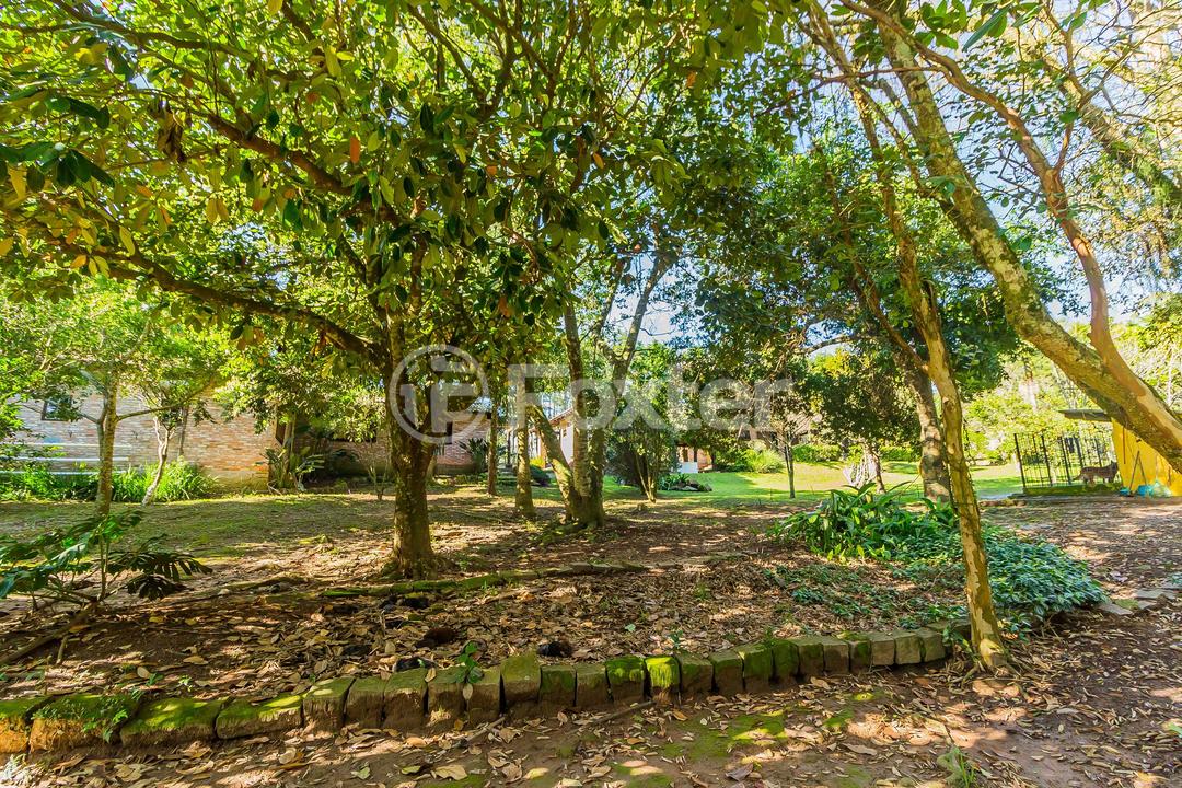 Sítio à venda com 5 quartos, 640m² - Foto 104