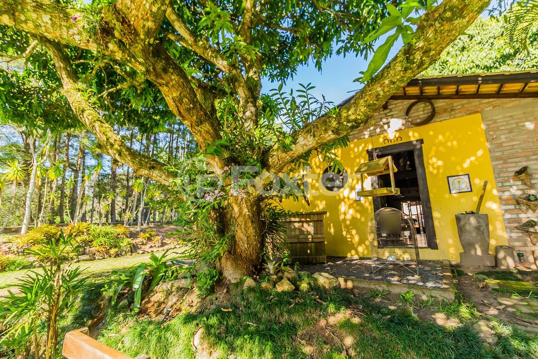 Sítio à venda com 5 quartos, 640m² - Foto 83