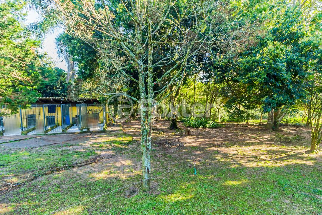 Sítio à venda com 5 quartos, 640m² - Foto 84