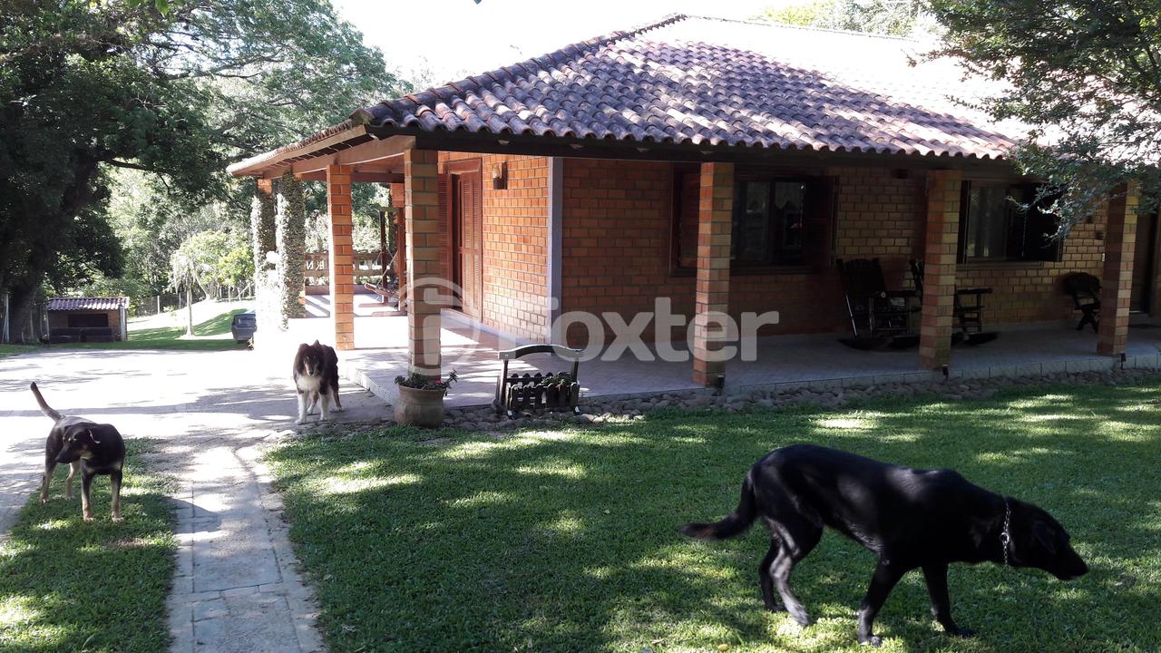 Sítio à venda com 3 quartos, 200m² - Foto 6