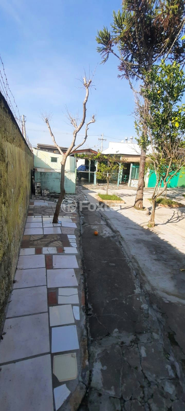 Casa à venda com 3 quartos, 120m² - Foto 19