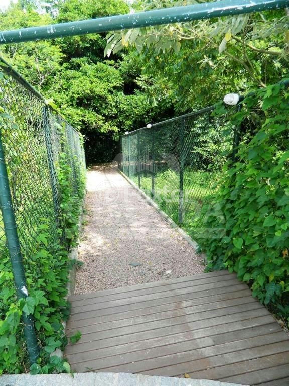 Apartamento à venda com 2 quartos, 45m² - Foto 11