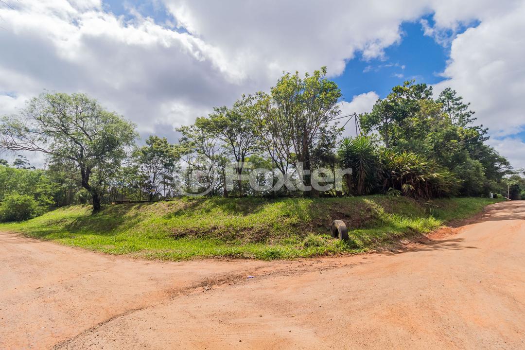 Sítio à venda com 3 quartos, 15100m² - Foto 4
