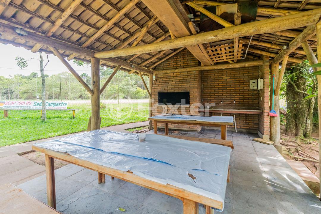 Sítio à venda com 3 quartos, 15100m² - Foto 13