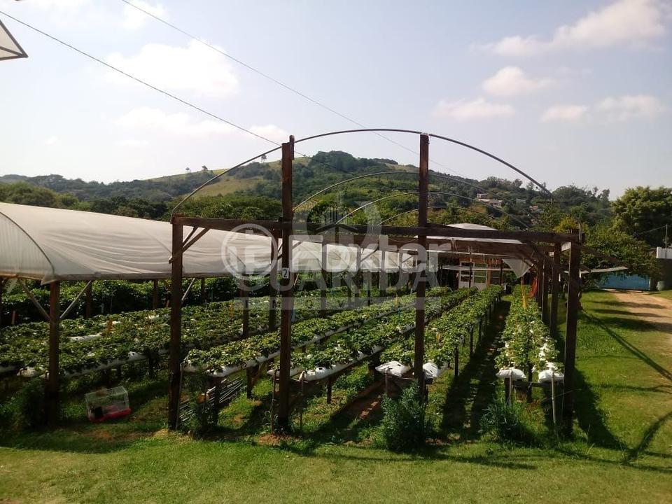 Fazenda à venda com 3 quartos, 160m² - Foto 20