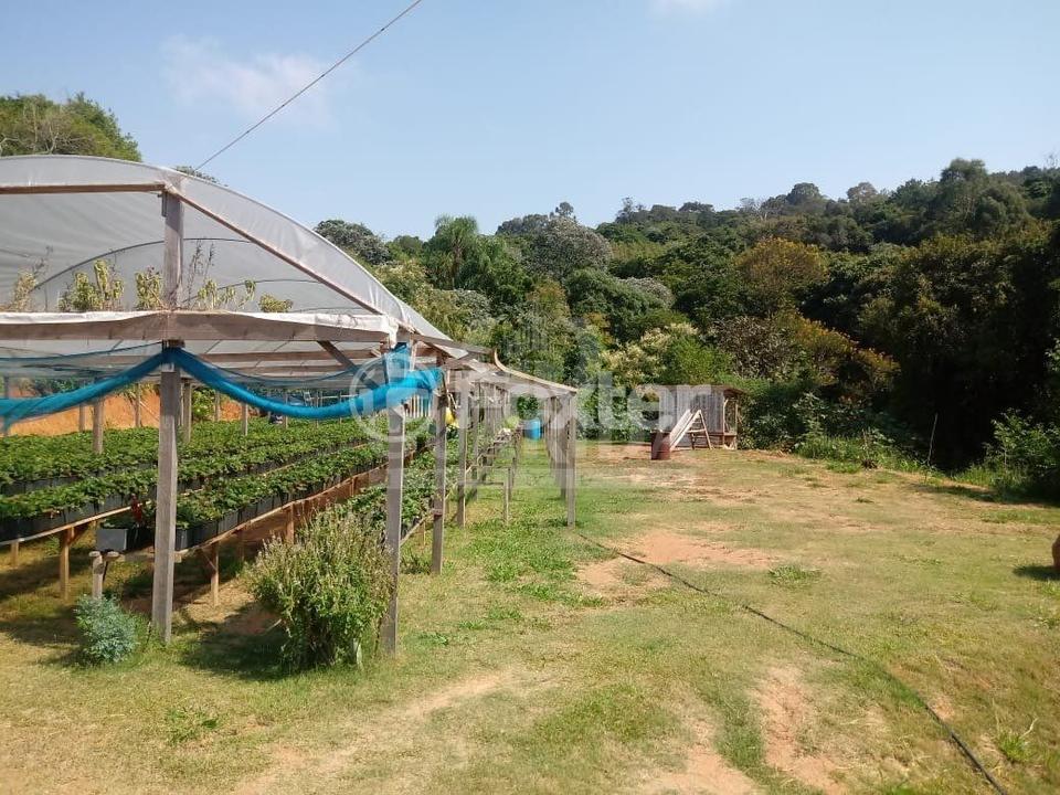 Fazenda à venda com 3 quartos, 160m² - Foto 23