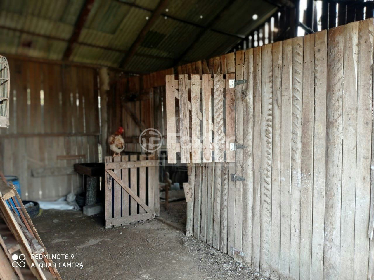 Fazenda à venda com 4 quartos, 150m² - Foto 14