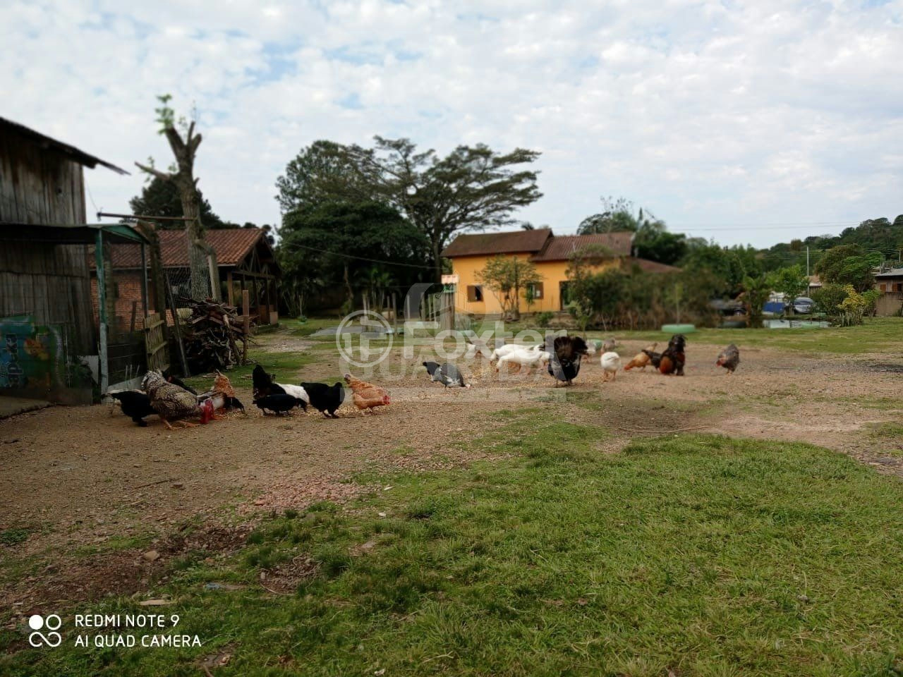 Fazenda à venda com 4 quartos, 150m² - Foto 5
