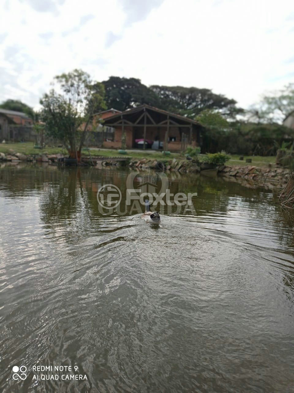 Fazenda à venda com 4 quartos, 150m² - Foto 6