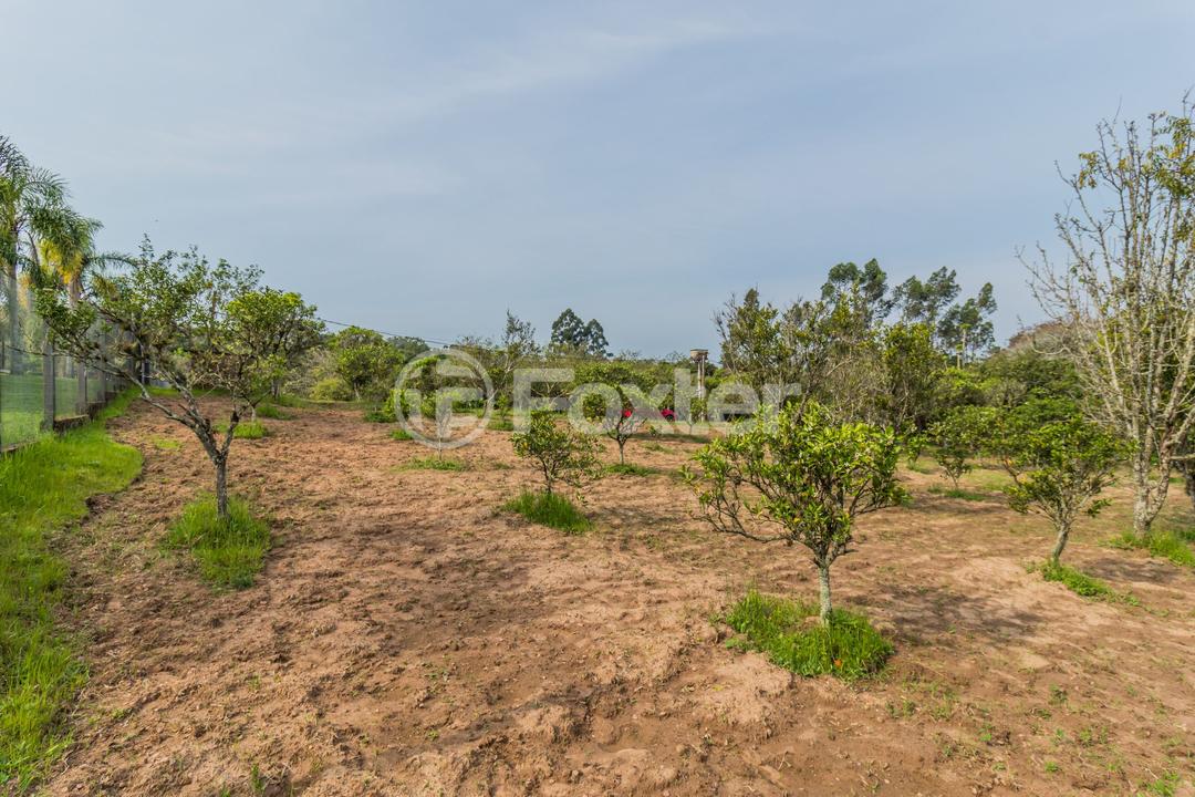 Chácara à venda com 3 quartos, 46300m² - Foto 52
