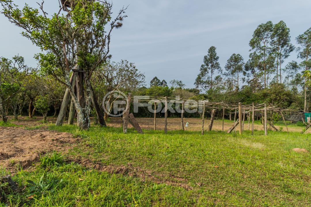 Chácara à venda com 3 quartos, 46300m² - Foto 56