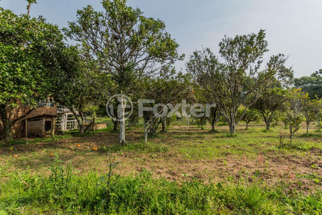 Chácara à venda com 3 quartos, 46300m² - Foto 57