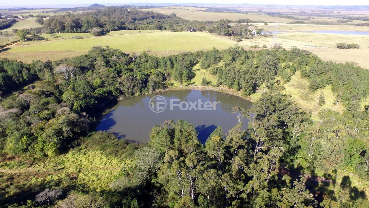 Sítio à venda com 10 quartos, 250000m² - Foto 5