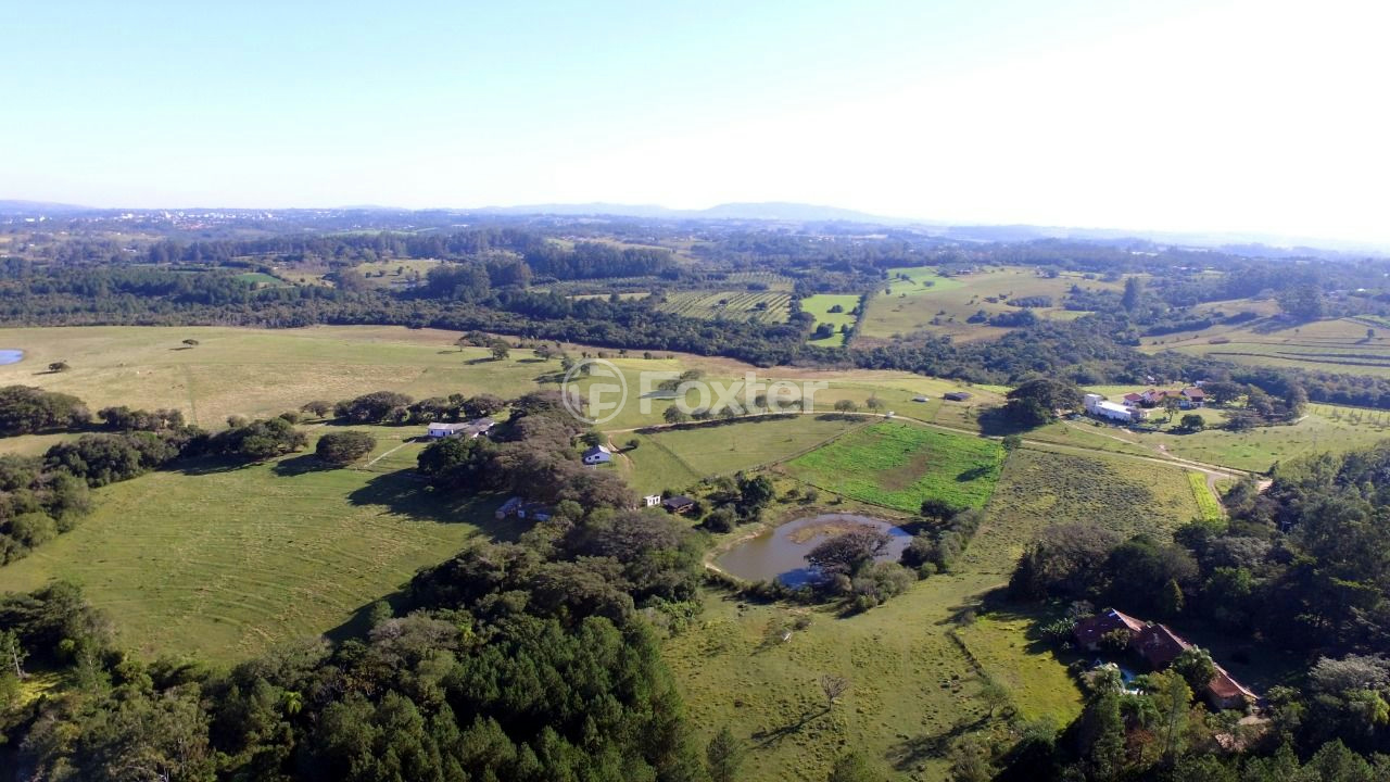 Sítio à venda com 10 quartos, 250000m² - Foto 10