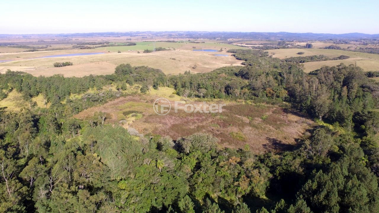 Sítio à venda com 10 quartos, 250000m² - Foto 15