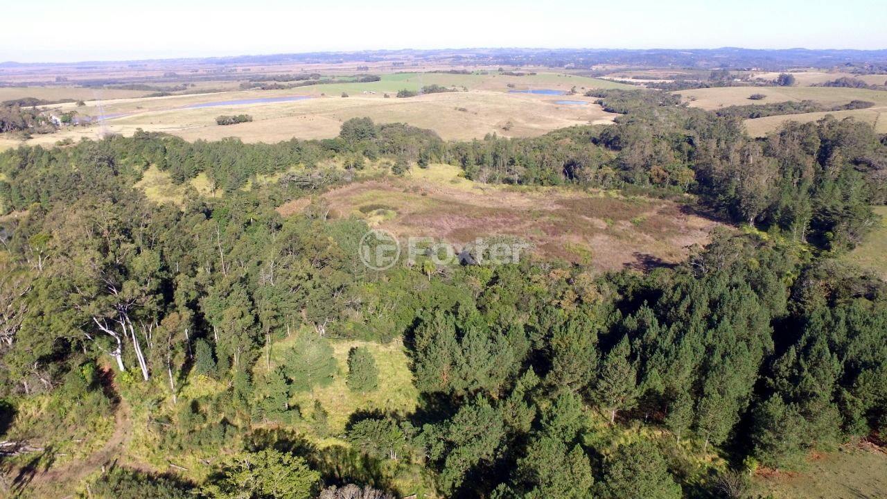 Sítio à venda com 10 quartos, 250000m² - Foto 9
