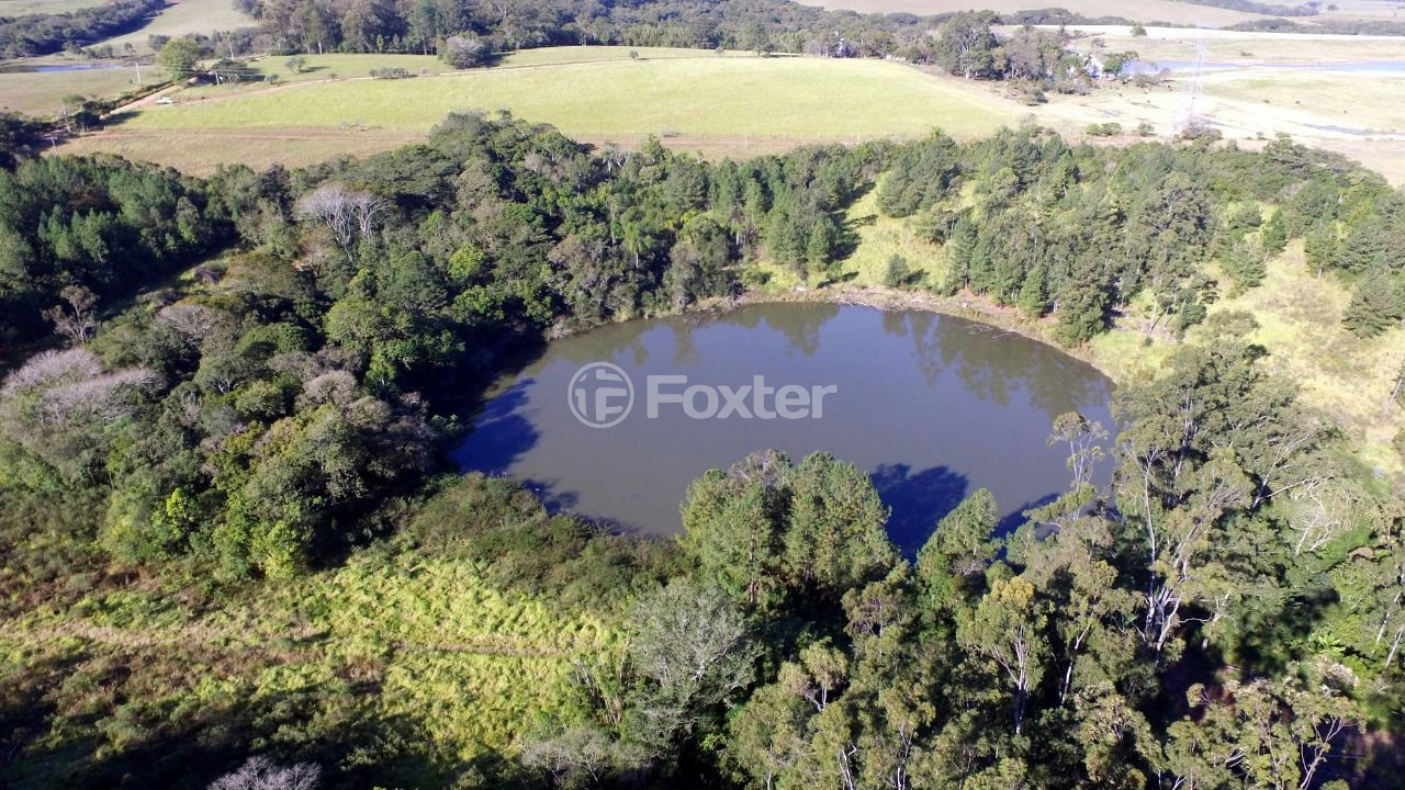 Sítio à venda com 10 quartos, 250000m² - Foto 18
