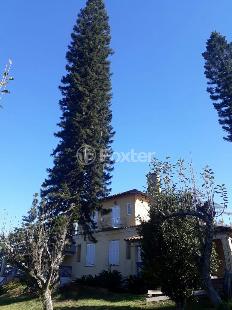 Sítio à venda com 10 quartos, 250000m² - Foto 23