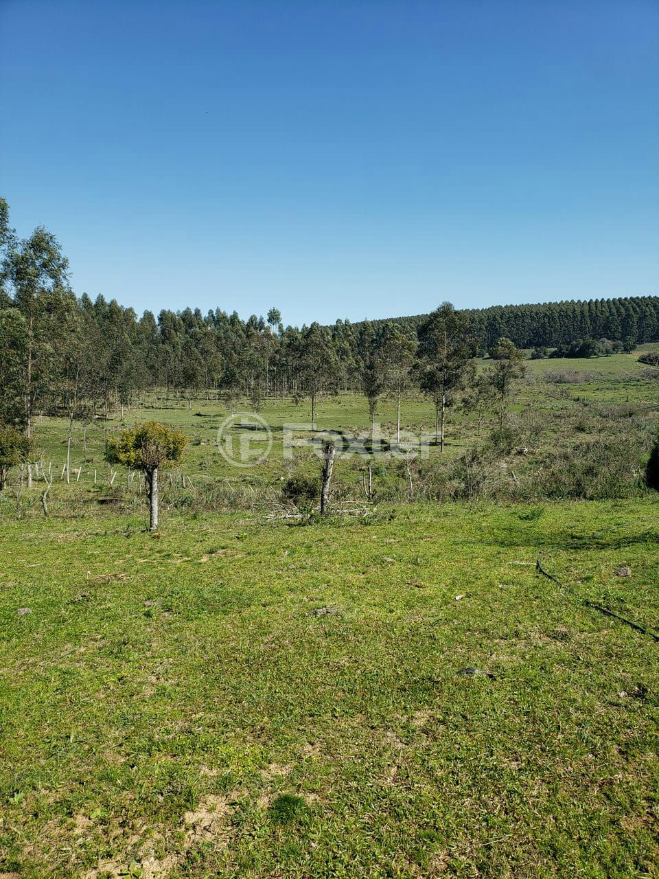 Sítio à venda, 96000m² - Foto 5