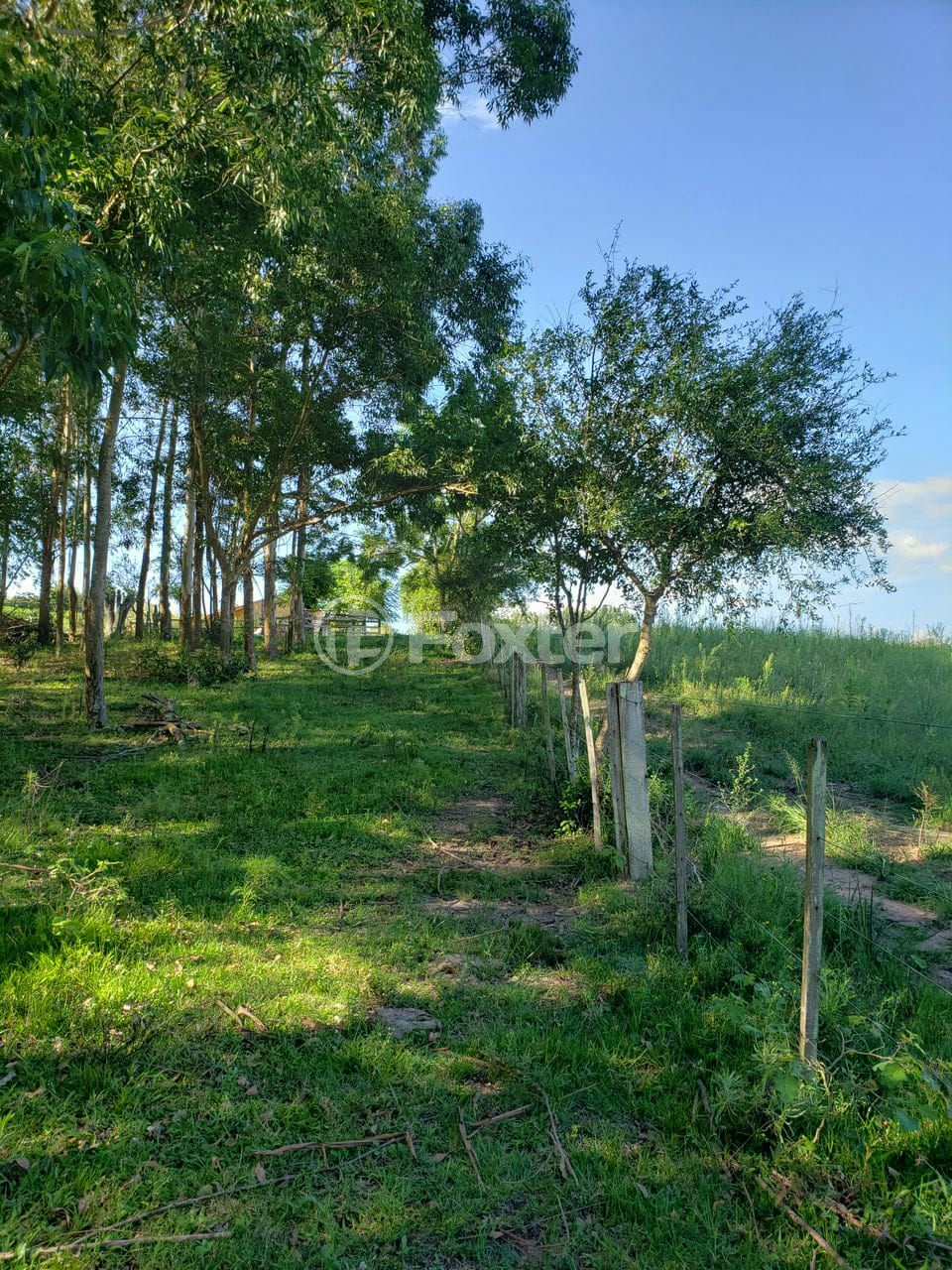 Sítio à venda, 96000m² - Foto 4