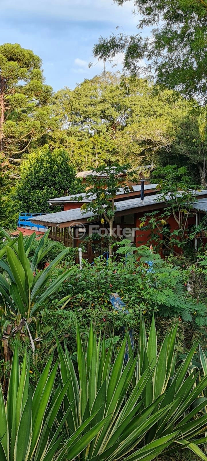 Sítio à venda com 4 quartos, 310m² - Foto 6