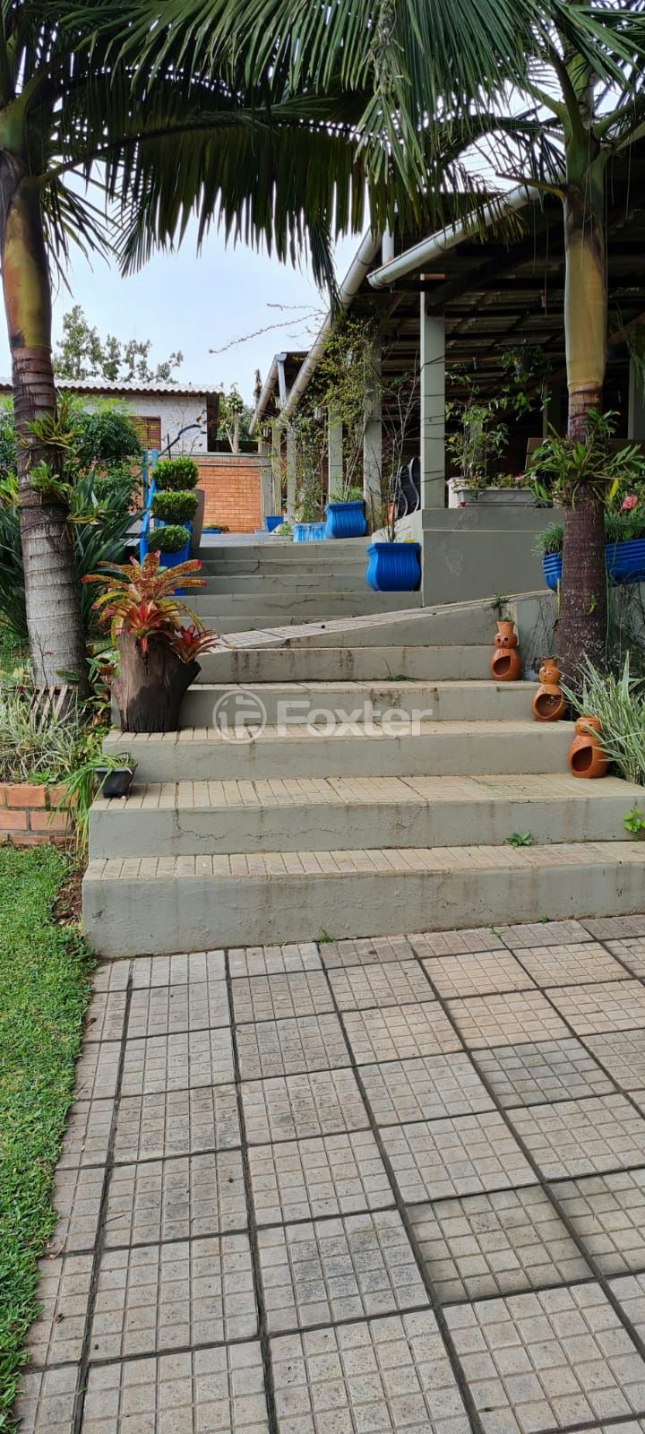 Sítio à venda com 4 quartos, 310m² - Foto 21