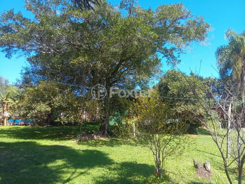 Sítio à venda com 4 quartos, 310m² - Foto 19