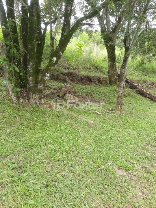 Sítio à venda, 1177762m² - Foto 15