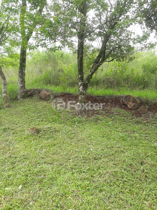 Sítio à venda, 1177762m² - Foto 13
