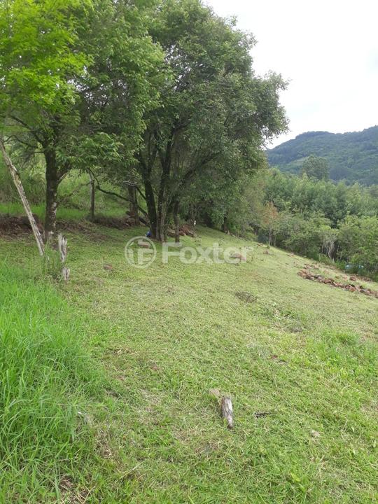 Sítio à venda, 1177762m² - Foto 9