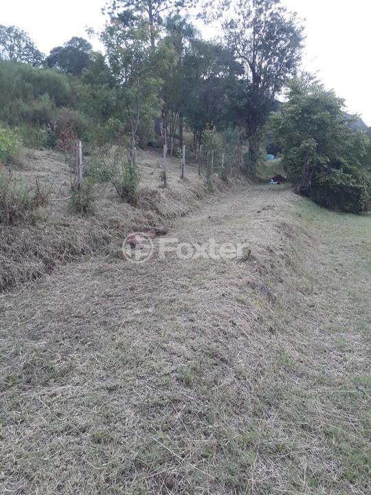 Sítio à venda, 1177762m² - Foto 11