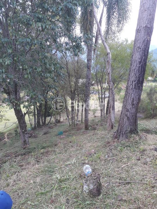 Sítio à venda, 1177762m² - Foto 12