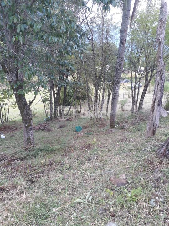 Sítio à venda, 1177762m² - Foto 1