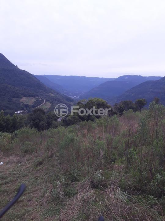 Sítio à venda, 1177762m² - Foto 8