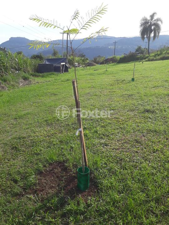 Sítio à venda, 1177762m² - Foto 14