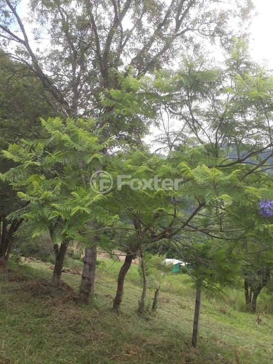 Sítio à venda, 1177762m² - Foto 6