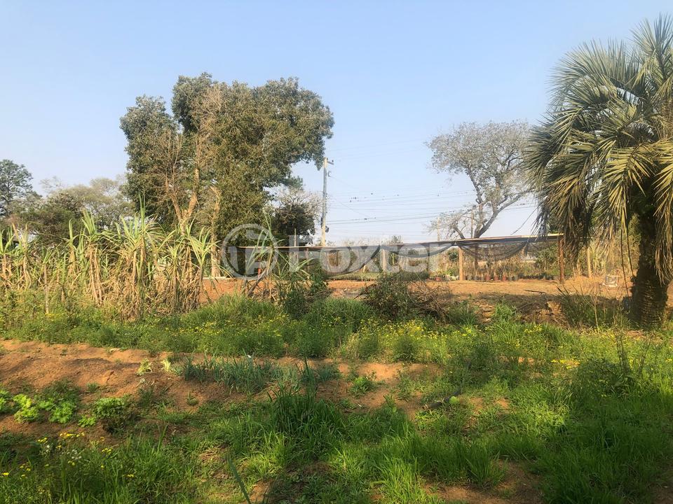 Sítio à venda com 2 quartos, 83000m² - Foto 10