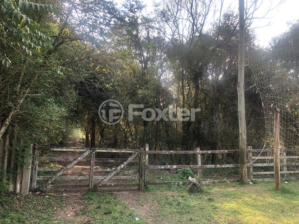 Sítio à venda com 2 quartos, 83000m² - Foto 12