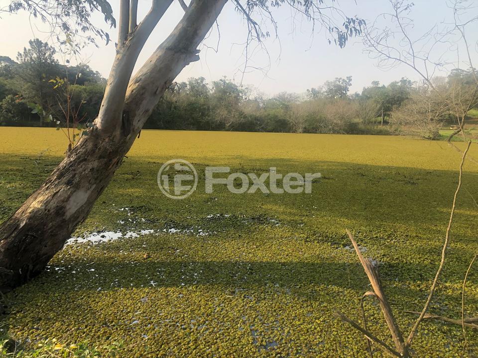 Sítio à venda com 2 quartos, 83000m² - Foto 6