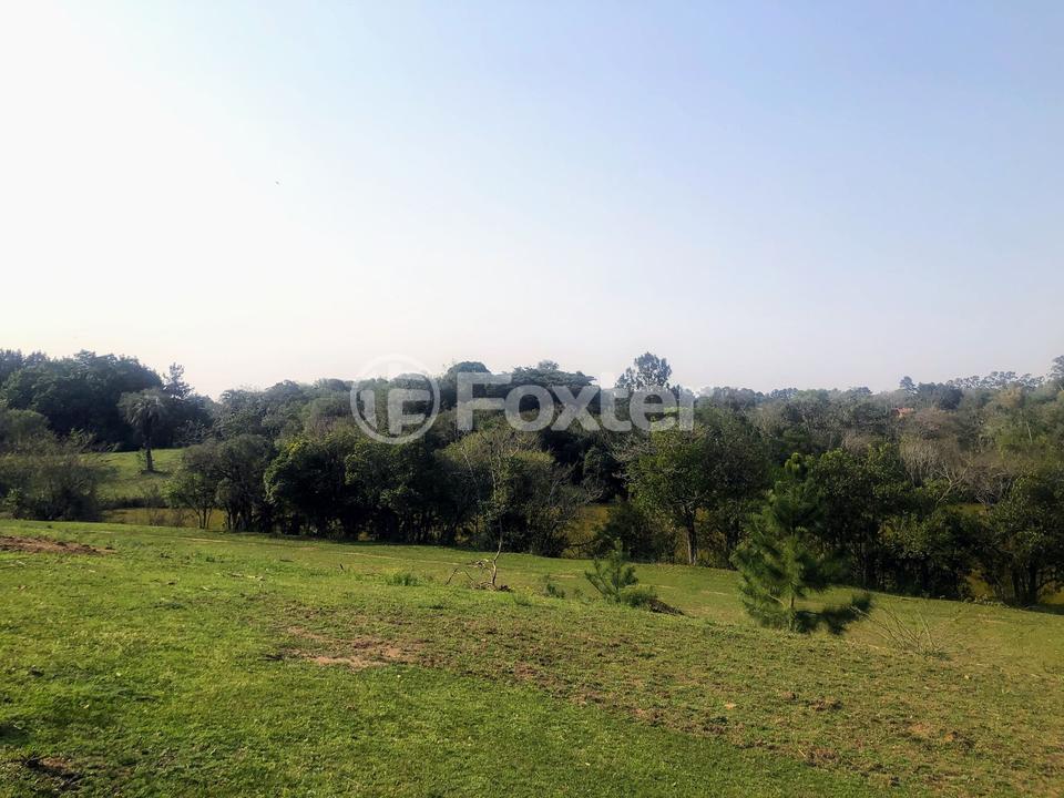 Sítio à venda com 2 quartos, 83000m² - Foto 7
