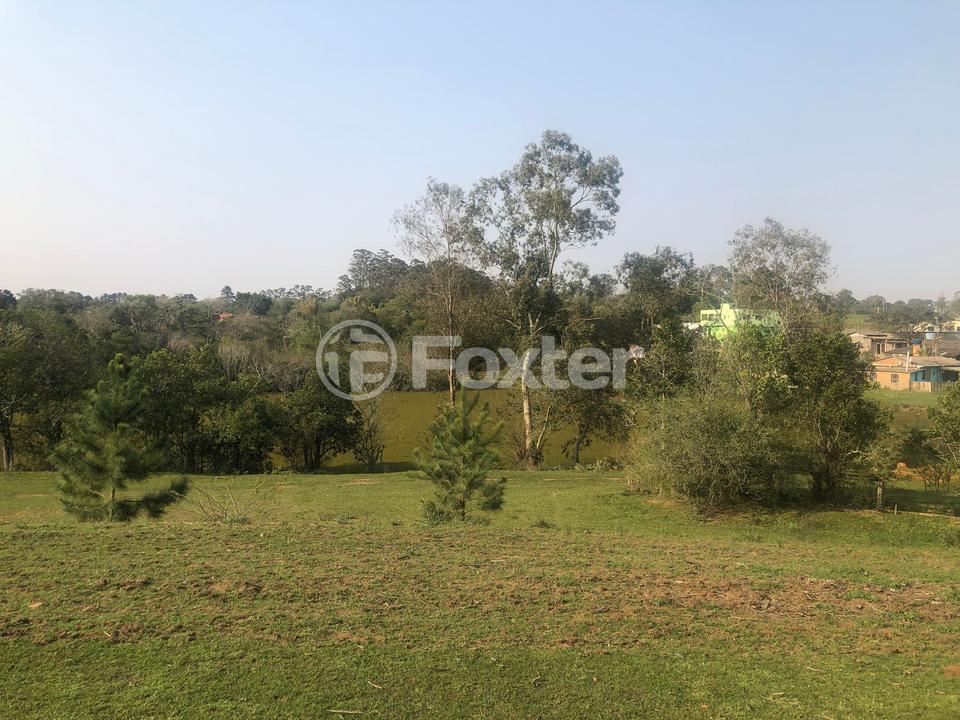 Sítio à venda com 2 quartos, 83000m² - Foto 8