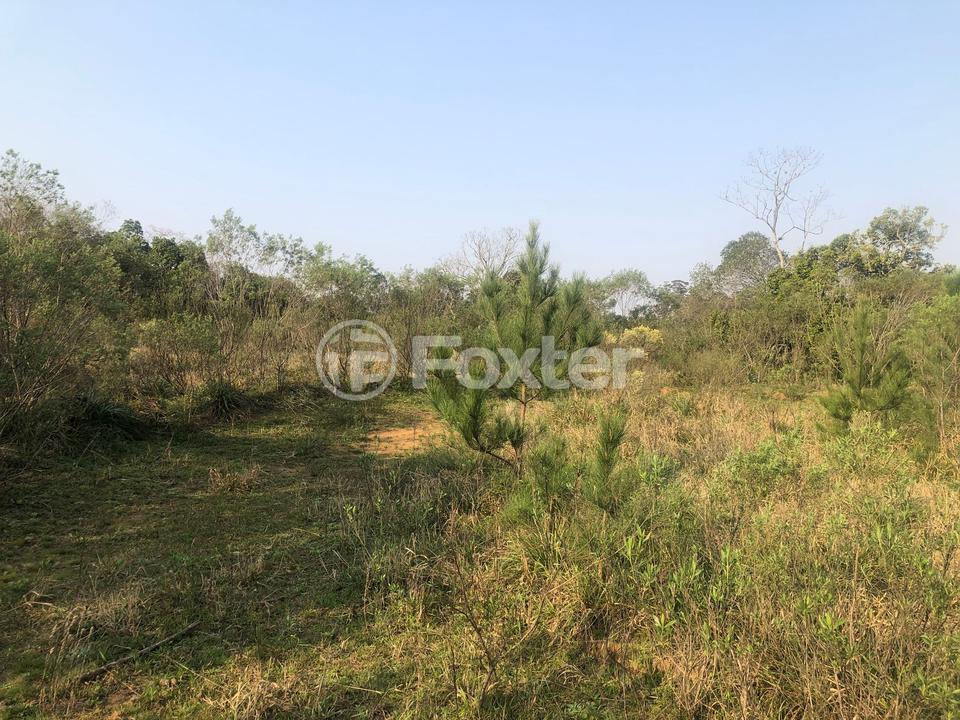 Sítio à venda com 2 quartos, 83000m² - Foto 9