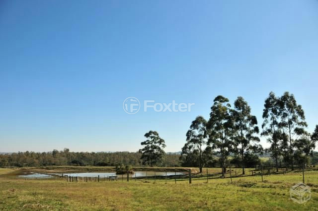 Sítio à venda com 3 quartos, 66000m² - Foto 4