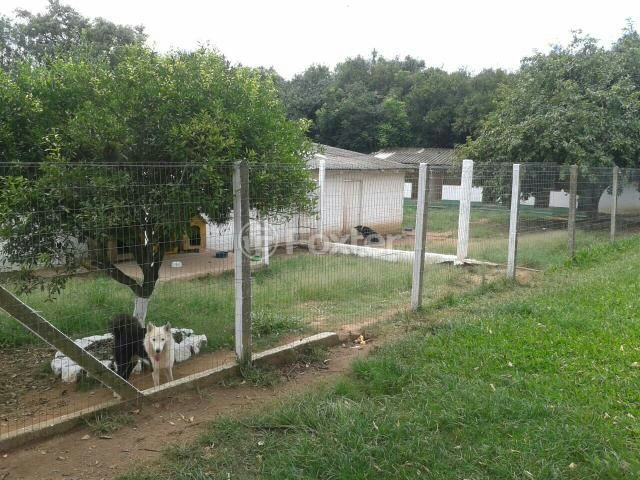 Sítio à venda com 3 quartos, 66000m² - Foto 11