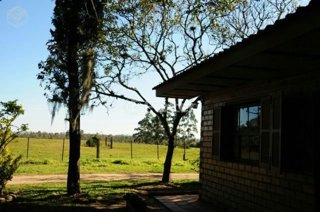 Sítio à venda com 3 quartos, 66000m² - Foto 18